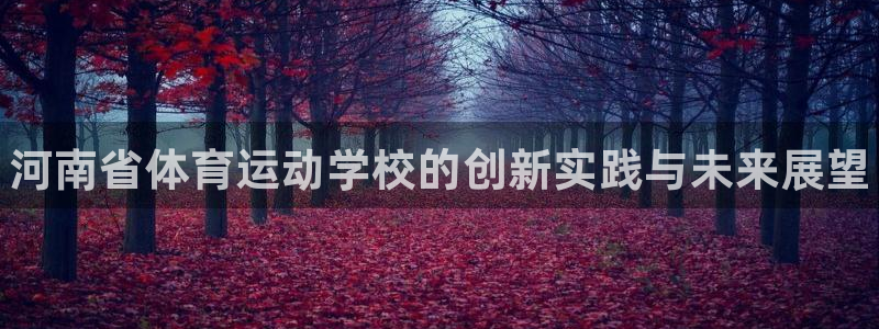 J9官网下载是干嘛的公司:河南省体育运动学校的创新实践与未来