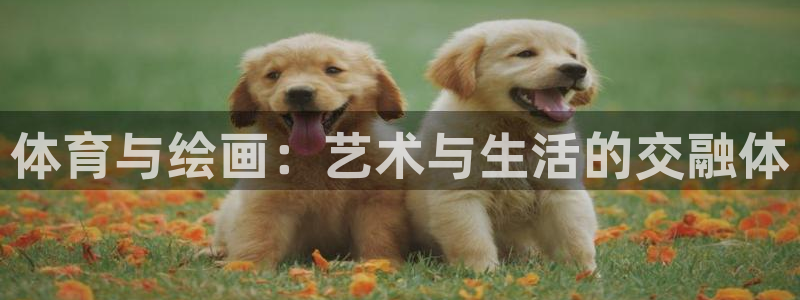 J9官方正版app神州:体育与绘画:艺术与生活的交融体