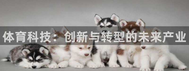 J9官网下载平台注册流程图:体育科技:创新与转型的未来产业