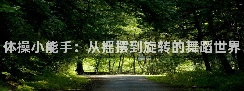 J9官网下载平台注册要钱吗是真的吗:体操小能手:从摇摆到旋转