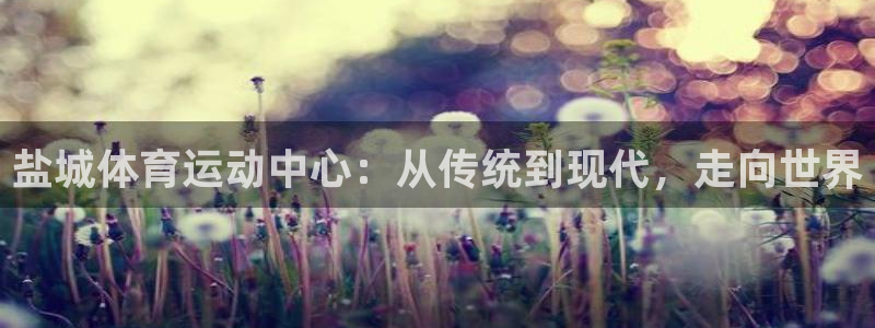 J9官方正版app神州:盐城体育运动中心:从传统到现代,走向