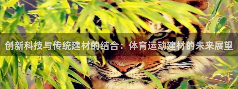 J9官网下载平台是正规平台吗:创新科技与传统建材的结合:体育